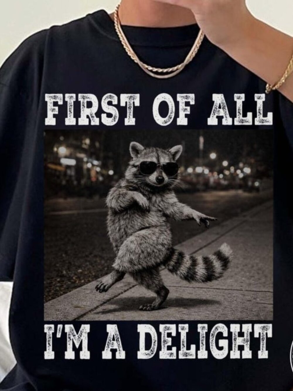 I’m A Delight Raccoon T-shirt, Funny Sarcastic Graphic Tee